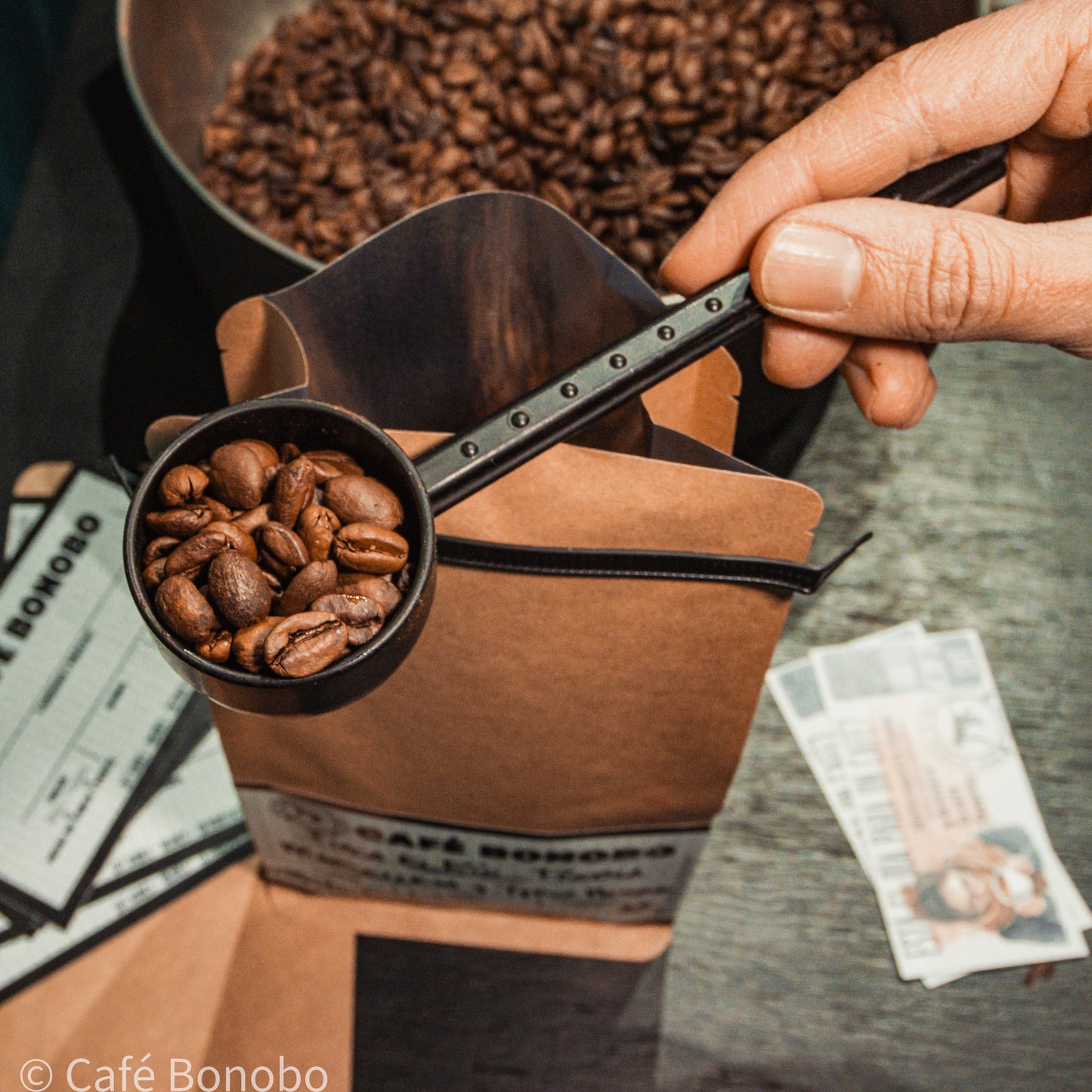 Café Natural Typica Marsellesa