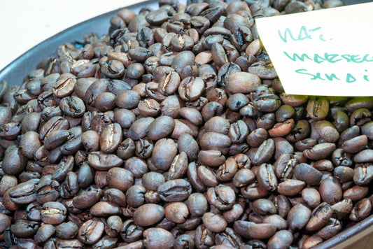 Café Natural, Marsellesa