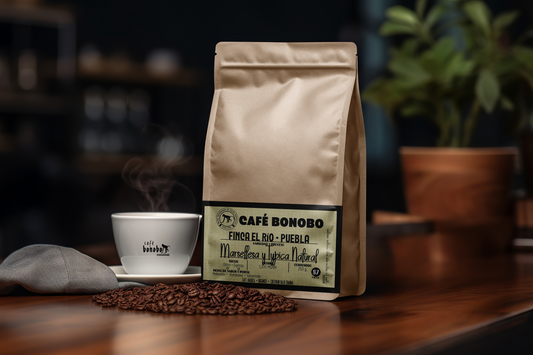 Café Natural Typica Marsellesa