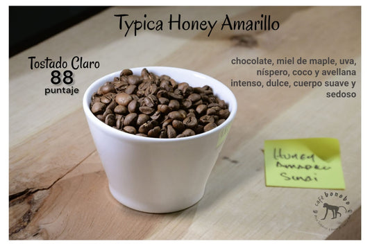 Café Honey Amarillo Typica