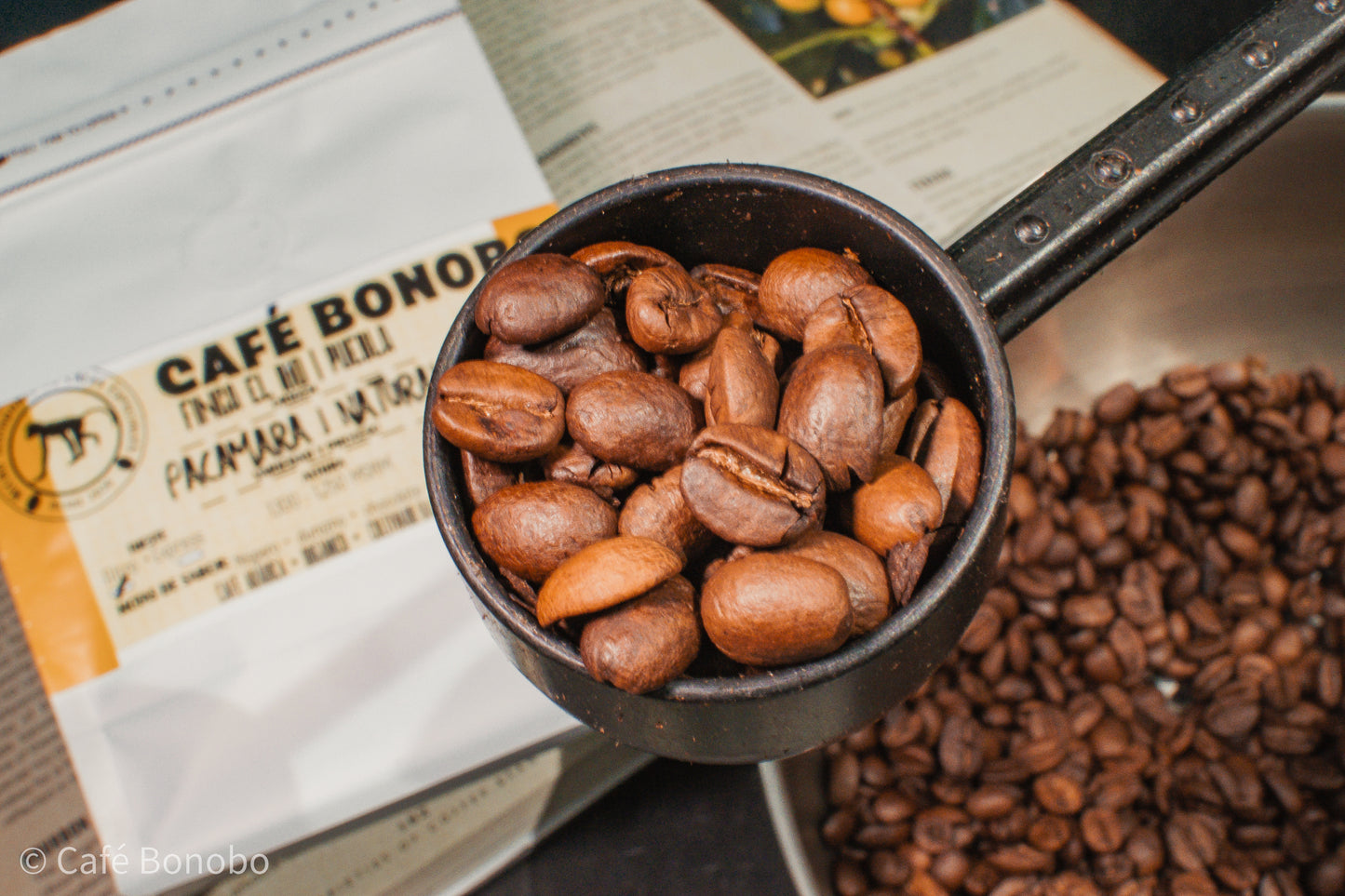 Café Pacamara Natural