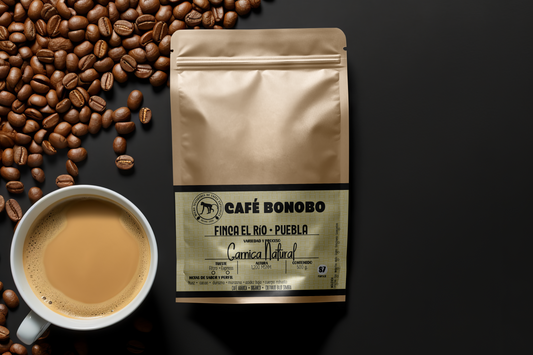 Café Natural Garnica